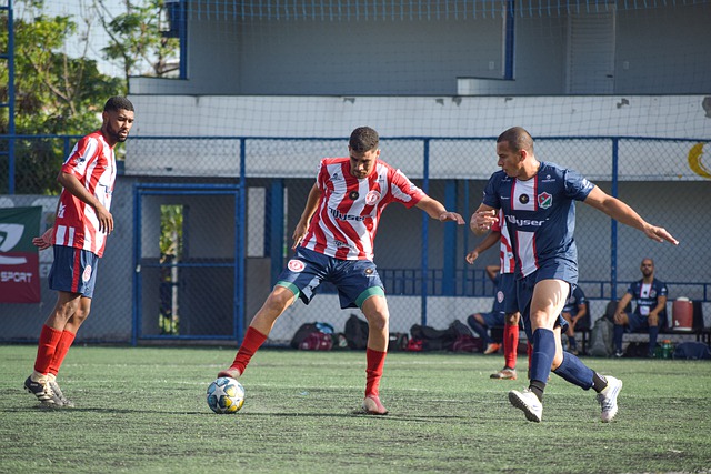 紐卡組成 紐卡組成