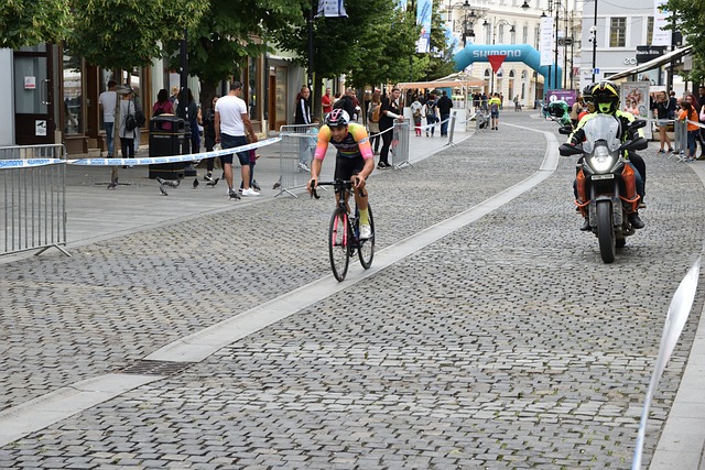 集体运动 集体运动