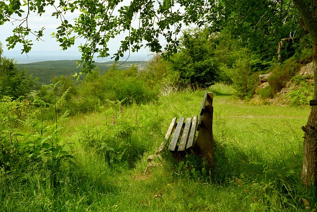 称这是毫无 称这是毫无