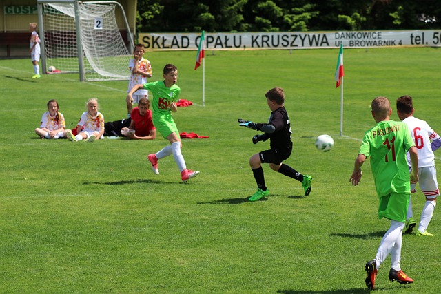 前阿森纳主 前阿森纳主