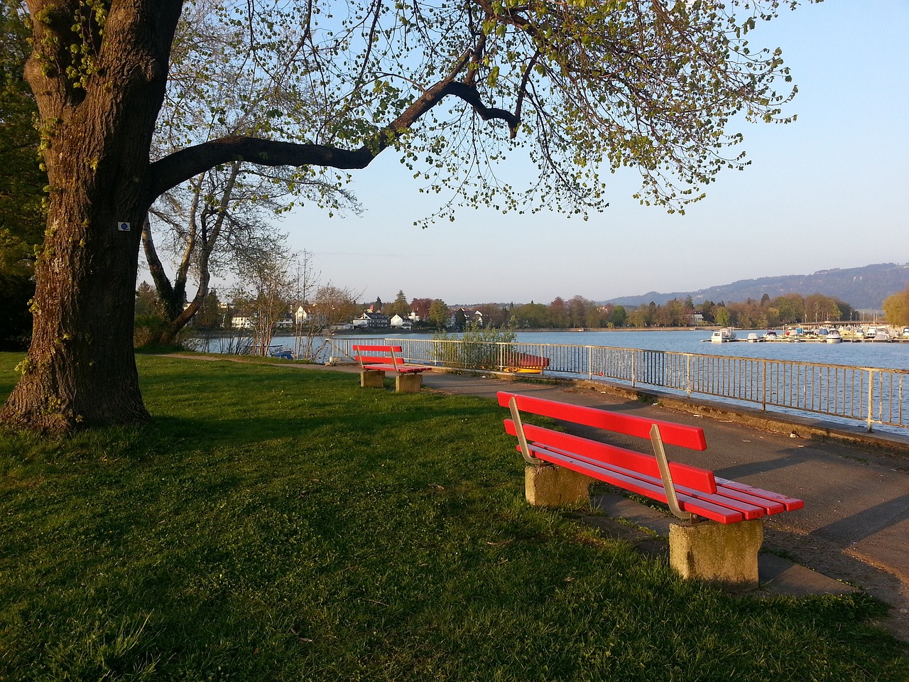 分析黄蜂队 分析黄蜂队